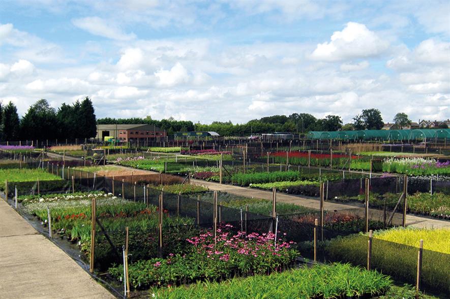 wholesale gardenplants
